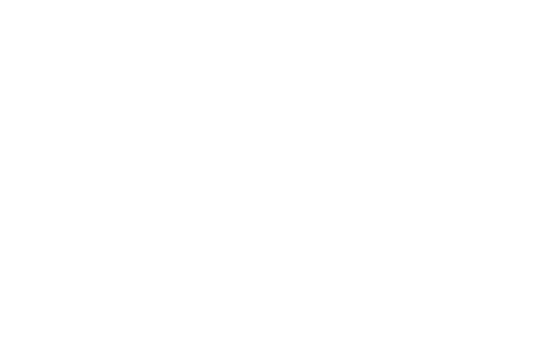 Valley Metro reverse logo