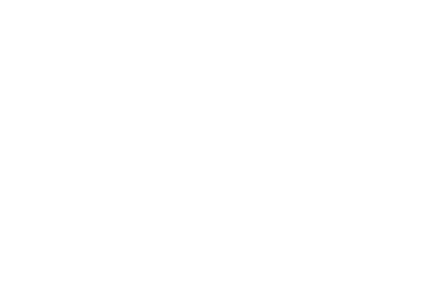 Peddler's Son reverse logo