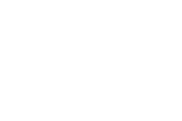 B&D Industries Reverse Logo